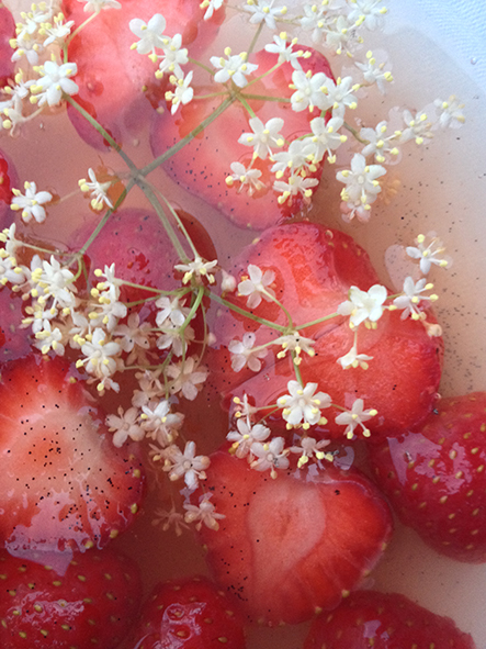 Vanillia-Fruchtsuppe