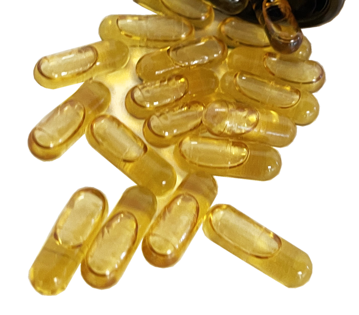 Schwarzkümmelöl 120 Vegicaps à 595 mg BIO/kbA